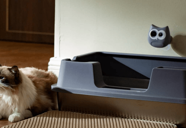 Meet SiiPet LitterLens: The AI Camera That Tracks Your Cat's Health