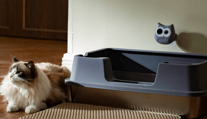 Meet SiiPet LitterLens: The AI Camera That Tracks Your Cat's Health